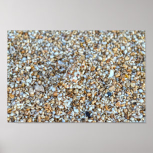 Gecamoufleerde spookkrab op een Kauai-strand, Hawa Poster