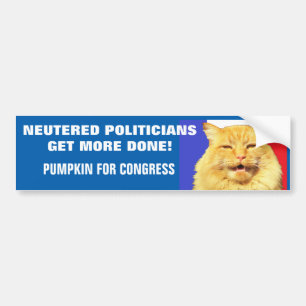 gecastreerde politici krijgen meer gedaan - cat me bumpersticker