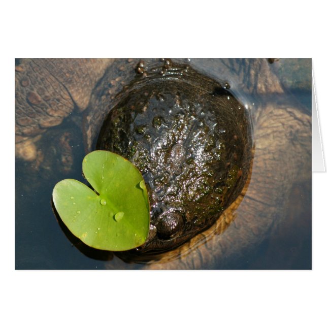 Gecentreerd (Voorkant Horizontaal)