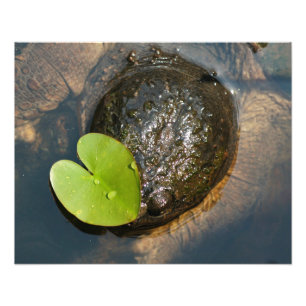 Gecentreerd Foto Afdruk