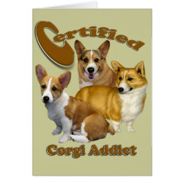 Gecertificeerd Corgi Addict