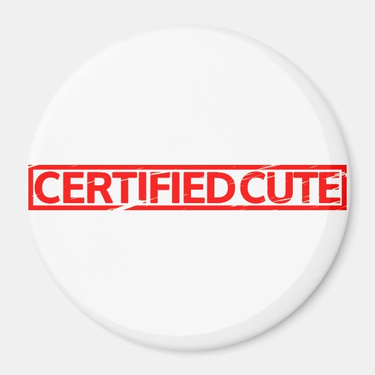 Gecertificeerd stootje magneet (Voorkant)