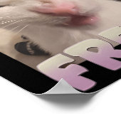 Gecertificeerde Freak Cat Meme Aanstootgevende Mem Poster (Hoek)
