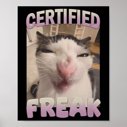 Gecertificeerde Freak Cat Meme Aanstootgevende Mem Poster (Voorkant)