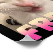 Gecertificeerde Freak Cat meme Aanstootgevende mem Poster (Hoek)