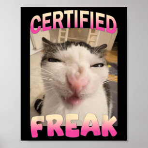 Gecertificeerde Freak Cat meme Aanstootgevende mem Poster