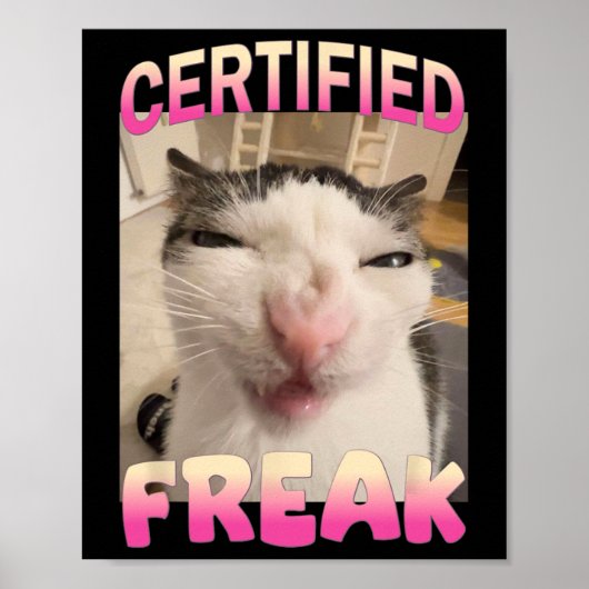 Gecertificeerde Freak Cat meme Aanstootgevende mem Poster (Voorkant)