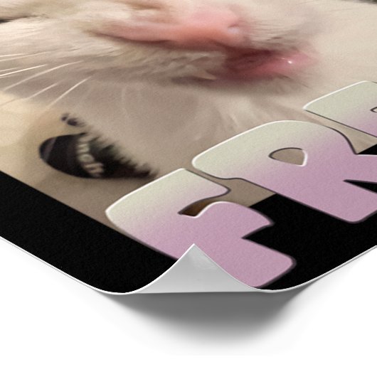 Gecertificeerde Freak Cat Meme Funny Pet Humor Poster (Hoek)