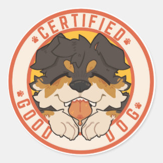 Gecertificeerde goede Sticker