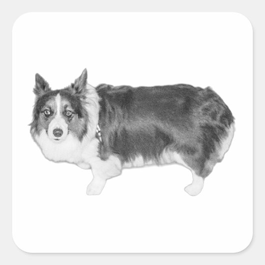 Gecertificeerde snackscout vierkante sticker (Voorkant)