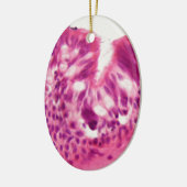 Gecilieerd epitheel onder de microscoop. keramisch ornament (Links)