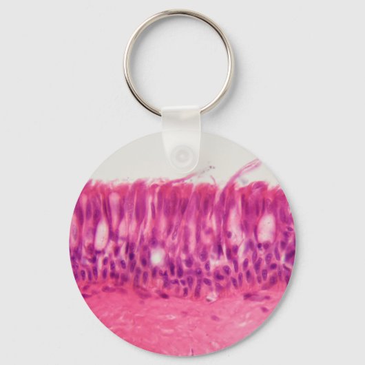 Gecilieerd epitheel onder de microscoop. sleutelhanger (Voorkant)