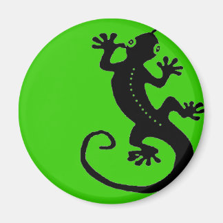 Gecko 1 magneet
