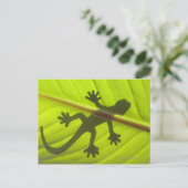 Gecko Briefkaart (Staand voorkant)