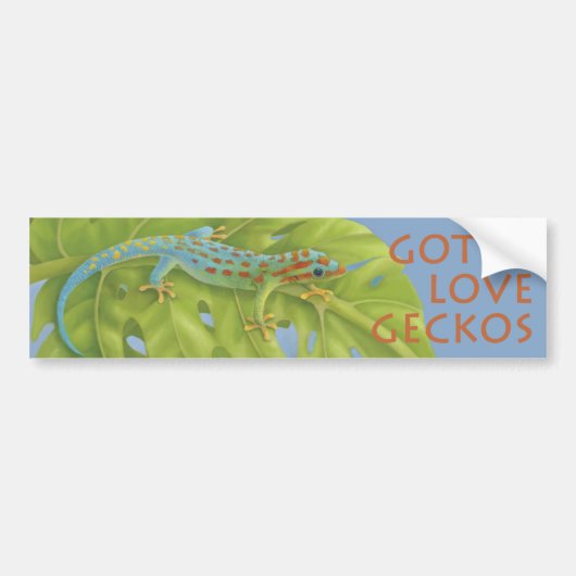 Gecko Bumpersticker (Voorkant)