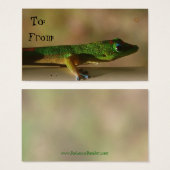 Gecko cadeau labels visitekaartje (Voorkant /achterkant)