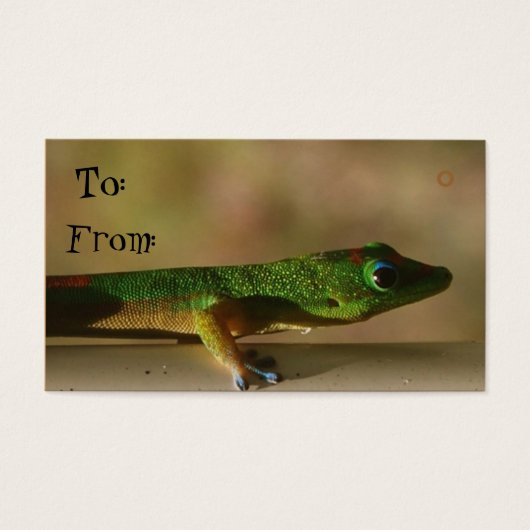 Gecko cadeau labels visitekaartje (Voorkant)
