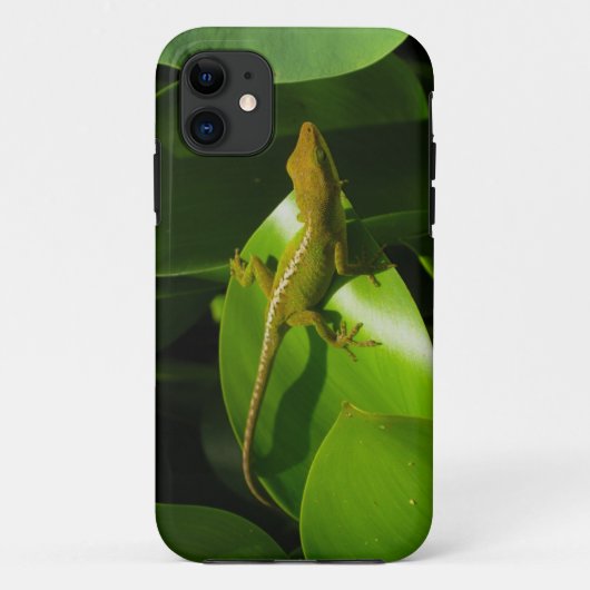Gecko Case-Mate iPhone Case (Achterkant)