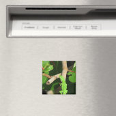 Gecko Chameleon Magnet (Insitu (Vaatwasser))