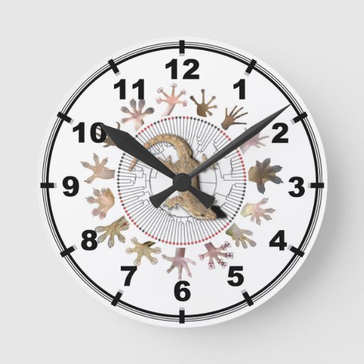 Gecko Clock Ronde Klok (Voorkant)