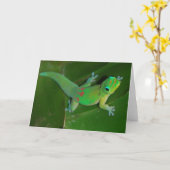 Gecko Cruising bij nacht Kaart (Gele Bloem)