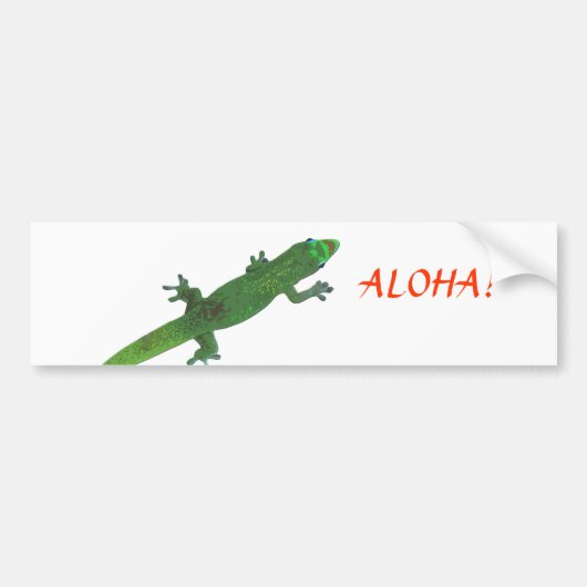 Gecko die naar de Bumpersticker van de groet "Aloh (Voorkant)