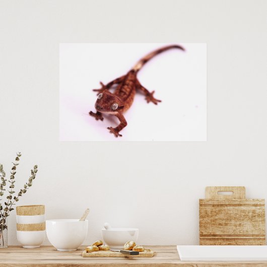Gecko die onder een hoek loopt poster (Keuken)