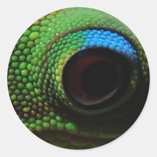 Gecko Eyeball Ronde Sticker (Voorkant)