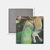 Gecko Feet Magneet (Voorkant / Achterkant)