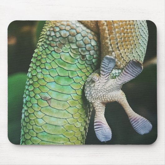 Gecko Feet Muismat (Voorkant)