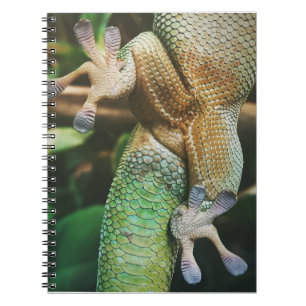 Gecko Feet Notitieboek
