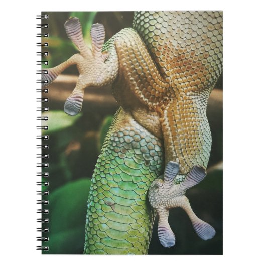 Gecko Feet Notitieboek (Voorkant)