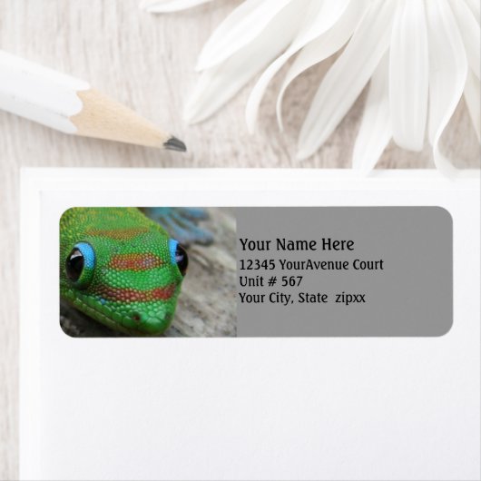 Gecko Foto Etiket (Insitu)