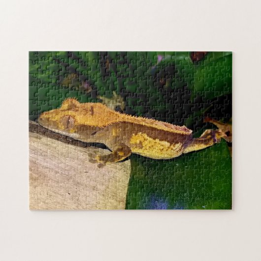 Gecko gemaakt op een lef-puzzel legpuzzel (Horizontaal)