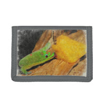 Gecko geniet van perziken