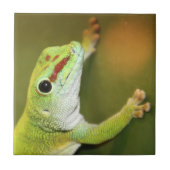 Gecko-gezicht Tegeltje (Voorkant)