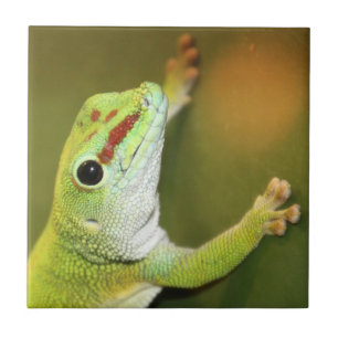 Gecko-gezicht Tegeltje