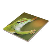Gecko-gezicht Tegeltje (Zijkant)