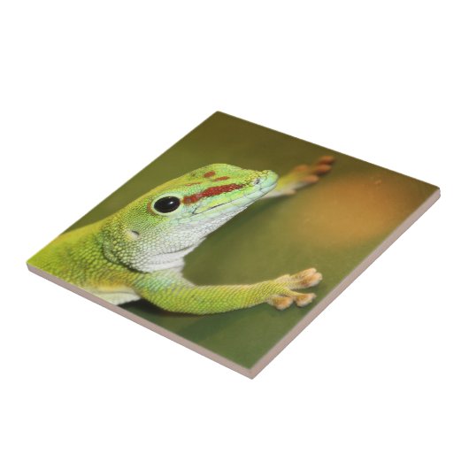 Gecko-gezicht Tegeltje (Zijkant)