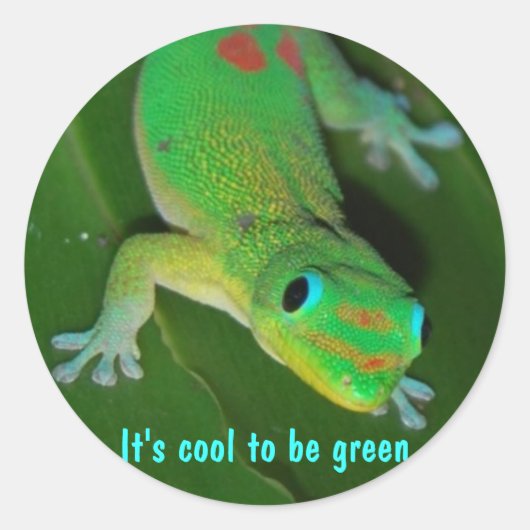 Gecko gezichtspunt - Het is cool om groen te zijn Ronde Sticker (Voorkant)