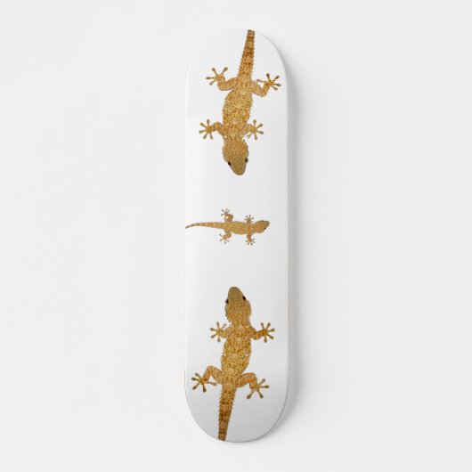 Gecko hagedis reptiel skateboard (Voorkant)