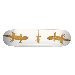 Gecko hagedis reptiel skateboard