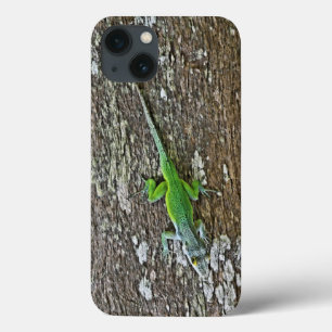 Gecko hoesje