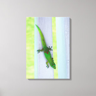 Gecko in Hawaï - Verticaal Canvas