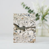 Gecko Lizard Briefkaart (Staand voorkant)