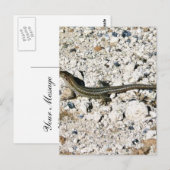 Gecko Lizard Briefkaart (Voorkant / Achterkant)