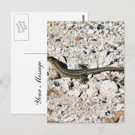 Gecko Lizard Briefkaart (Voorkant / Achterkant)