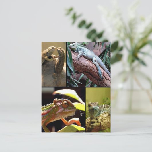 Gecko lizards en Chameleons Briefkaart (Staand voorkant)