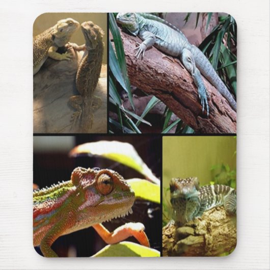 Gecko lizards en Chameleons Muismat (Voorkant)