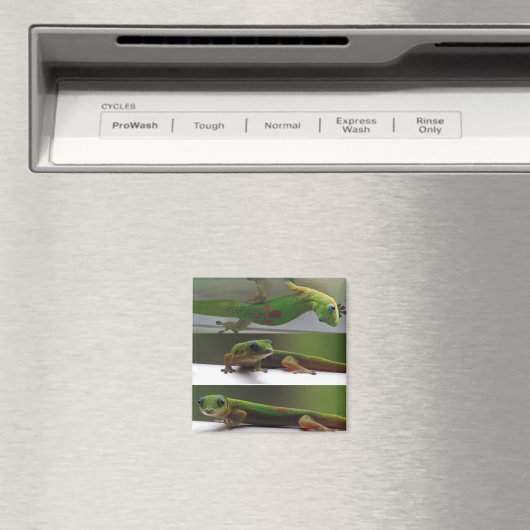 Gecko Magneet (Insitu (Vaatwasser))